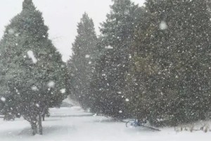 今冬第一场雪：冬日里的温暖