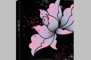 不要错过的生命奇遇（一个初出茅庐的探险家的成长历程）