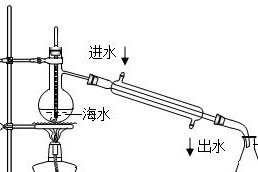 实验的意义——探寻未知的奥秘（一次实验，一次惊人发现）