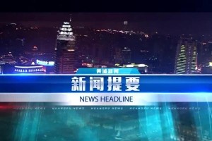 一个勇敢年轻人的故事（一个勇敢年轻人的故事）