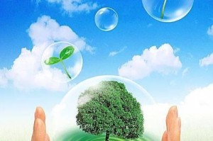 小苗的成长故事（以爱护花草，保护大自然为主题的小故事）