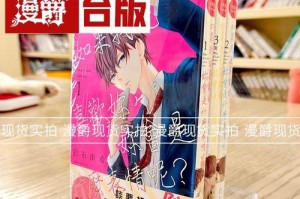 如果我是一位小说家