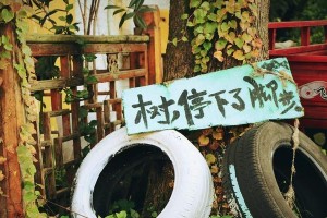 有你真好（感恩的季节）