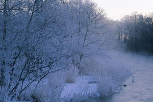 冬雪季节的奇迹（雪地里的探险之旅）