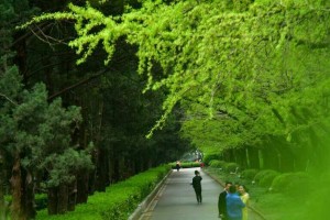 风景与人情（一场等待与重逢）