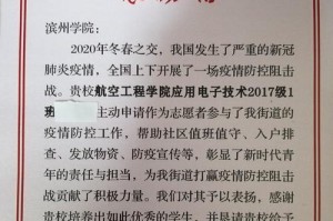 不屈不挠的青春力量（一位少年在青春路上奋斗的故事）