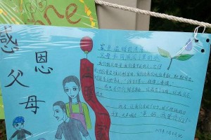 一代人，一代人的爱（珍爱生命，感恩父母）