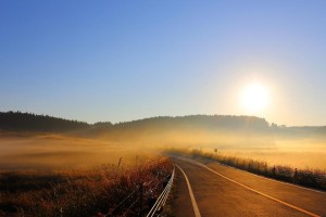 人生道路上的曲折与坎坷（人生道路上的曲折与坎坷）