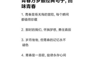 青春梦想的美好（追逐心中的梦想，放飞青春的梦想）