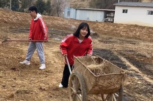 劳动让我们更快乐（一个平凡而又不平凡的故事）