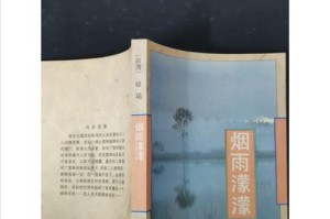 爱情如小说（一位小说家的真实故事）