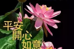 感恩，收获幸福的故事（一颗感恩之心，带来无限美好）