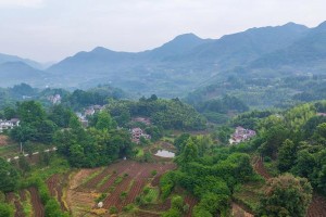 美丽桃花源——一个人的追寻
