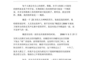 一段关于我和我的榜样的故事（一段关于我和我的榜样的故事）