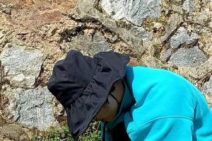 阳光照耀冬天（寻找幸福的旅程）
