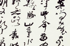 从游山西村走来（一个年轻人的成长故事）
