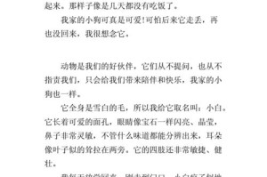 主题：萌宠小狗的成长历程