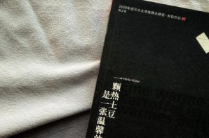 渴望的力量