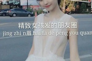 心中的欢喜（追逐梦想的旅程）