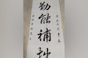 勤能补拙——一个小蚂蚁的成长故事（毅力与努力，铸就不凡）