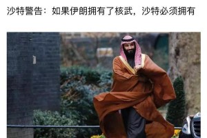 我想起了什么（失落的记忆，意外的重逢）