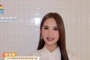 青春奋斗记（爱与梦想的追寻）