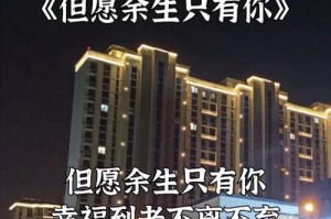 《青春之梦》（以《美丽新世界》为背景的小说）
