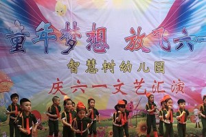 童年的梦想——我的珍藏计划