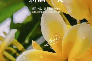 乐观是生命中最重要的品质（乐观是生命中最重要的品质）