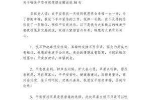 《守护平安的勇士》（一个警察的故事）