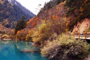 记忆里的风景（一位老人的回忆录）