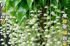 花香四溢（唯美爱情故事）