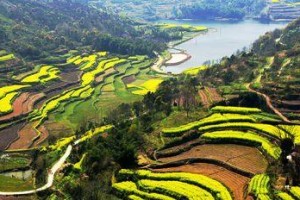 《岁月静好》（回味着春天美景）