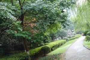 雨中情（因为爱情，所以不怕被淋湿）