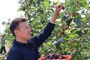 工匠精神（以钢为魂，打造梦想）