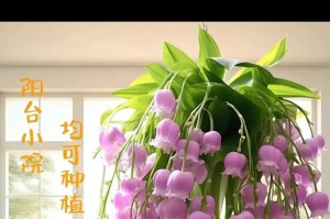 花香四溢，人间美景（花香四溢，人间美景）