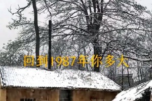 我怀念的那个冬天（故乡记忆）