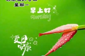 《温暖的拥抱》