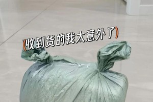小帮手的奇妙冒险（一个小男孩的成长故事）