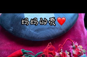 文化的力量（一个少年的成长故事）