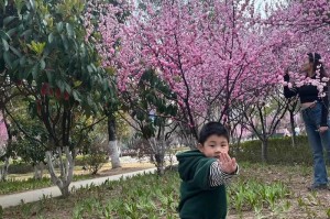 迎接美好明天（希望与努力的力量）
