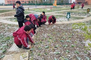 勤劳人生，劳动创造（用汗水撑起人生）