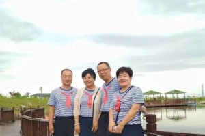 《岁月静好》（青春的梦想与挑战）