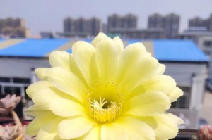 知足常乐，才是真正的幸福（偶然的经历，让小女孩领悟到了生活的真谛）