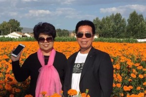 爱情、家庭、工作，三者共赢，才是真正的幸福美满（一个充满爱与感动的故事）