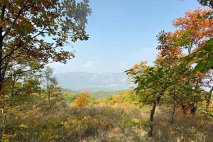 《书山处处是风景》