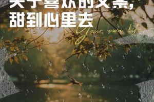 光芒照耀爱的世界（一束光，改变一家人的命运）