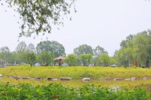 美丽回忆——寻找失落的美景（岁月流转，回忆重现）