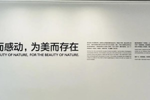 永恒的爱（不屈不挠的勇气与希望）