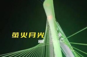 日新月异的变化——一个女孩成长的故事（从天真到独立、从迷茫到坚定，一个女孩不断地变化和进步。）